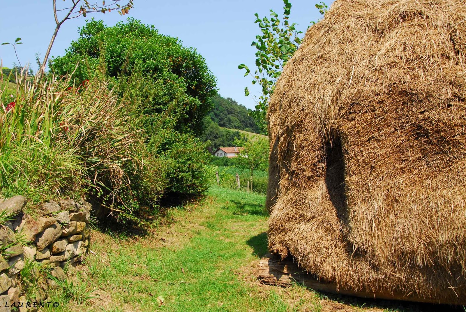 Laurent Blog Photo Meule