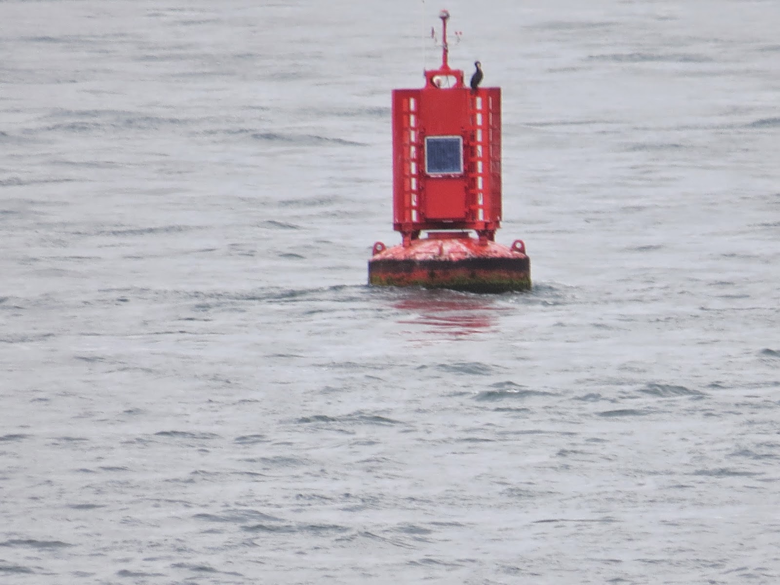 Pete's Irish Lighthouses Rosslare Sea Buoys
