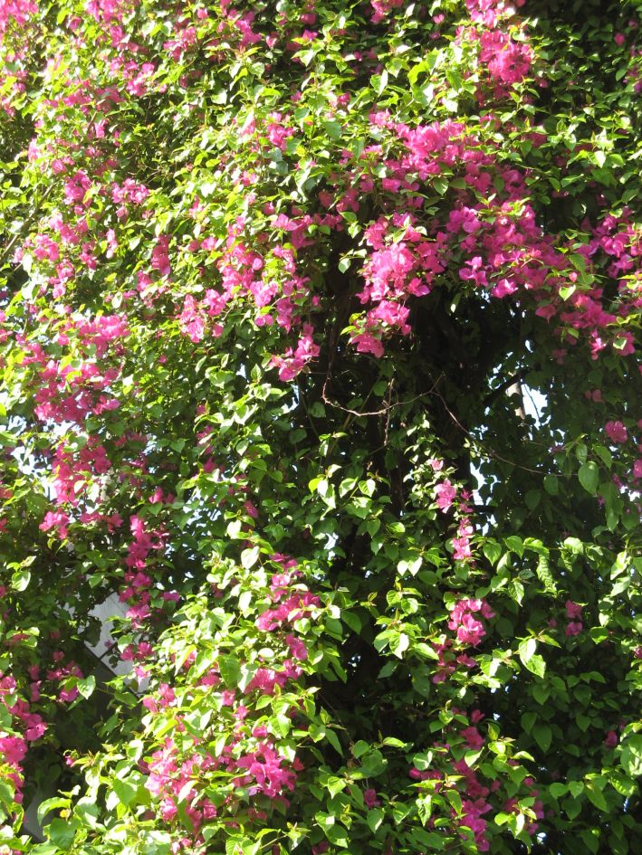 Naar Nepal 12 april kloosters en Nepalees Oud & Nieuw