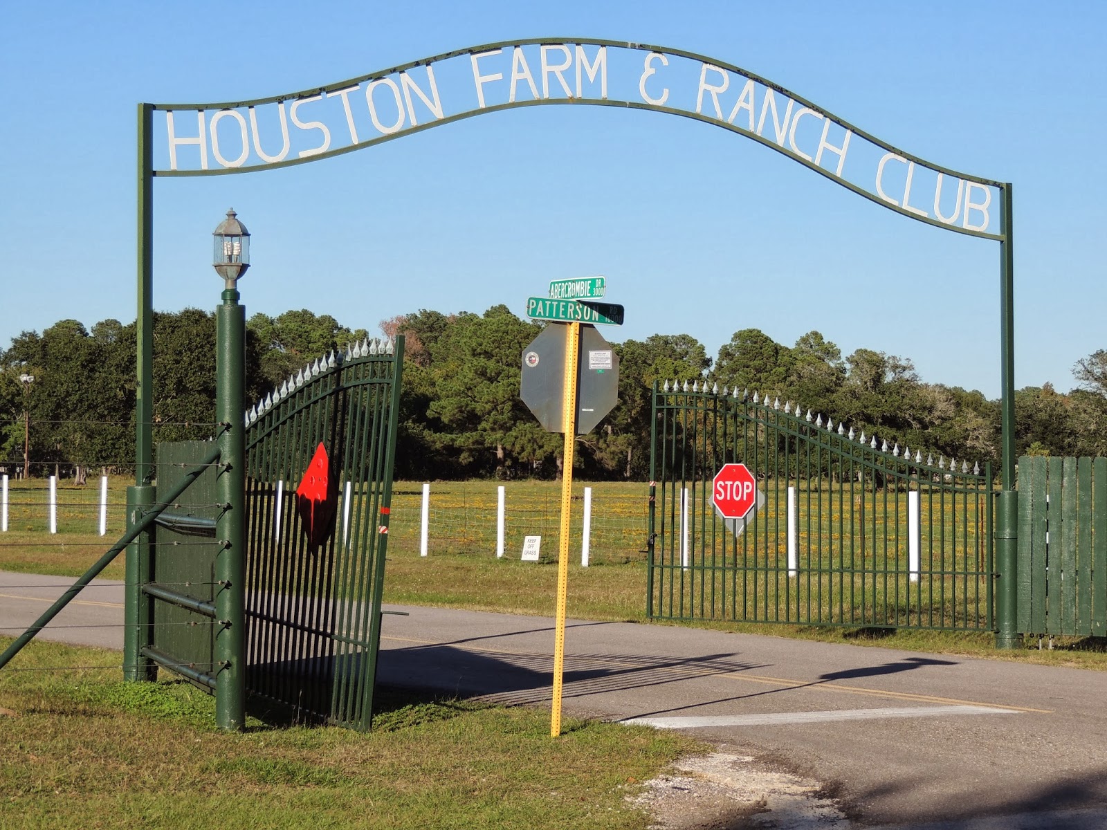 HTownWest Photo Blog Abercrombie Drive at Patterson Road Bear