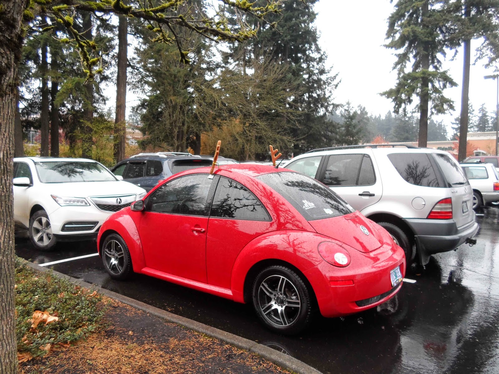Yen Chinese Food Tigard Or Yen Chinese Food Tigard Or