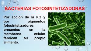 diferencia de los organismos fotosintetizadoresde otros organismos quimiosintetizadores