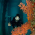 Kursus Belajar Underwater Photography