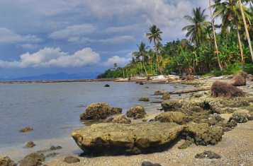 Pantai Sasa - Wesata.ID