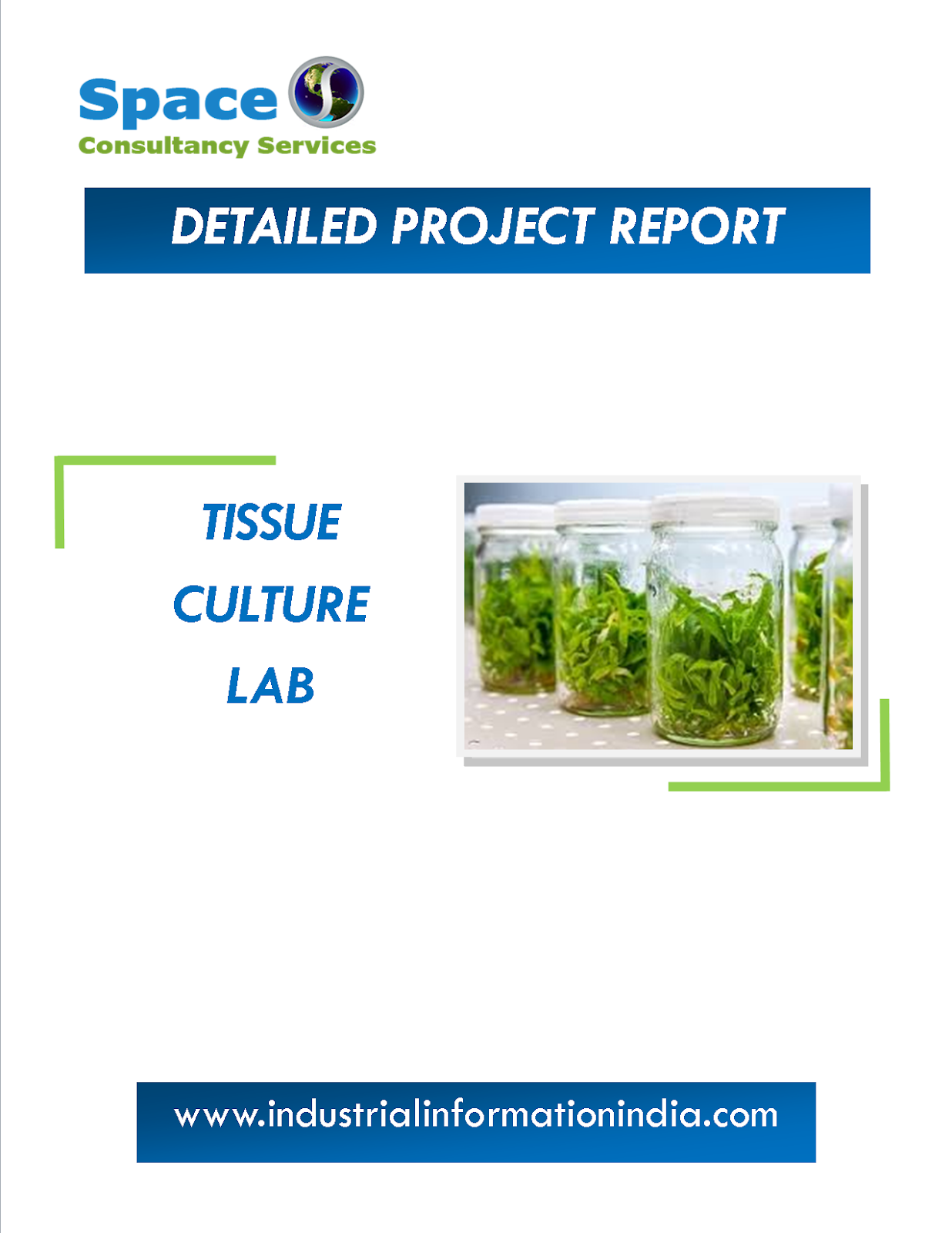 Tissue Culture Lab Project Report Space Consultancy Services