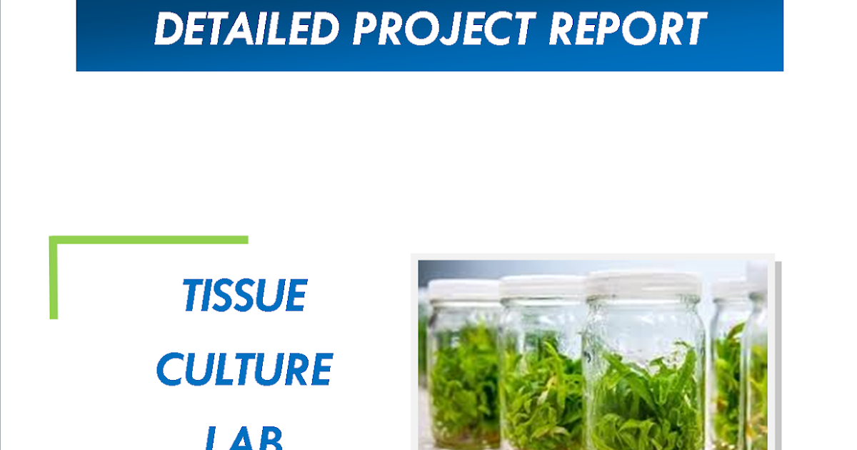 Tissue Culture Lab Project Report Space Consultancy Services