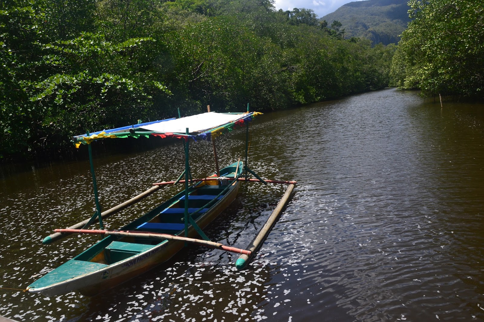 Mangrove Paddle Boat Tour Palawan