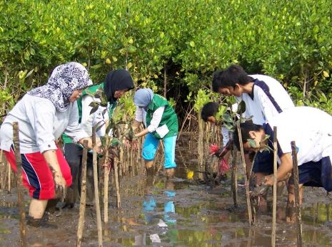 Upaya Upaya Pelestarian Lingkungan Hidup Terlengkap