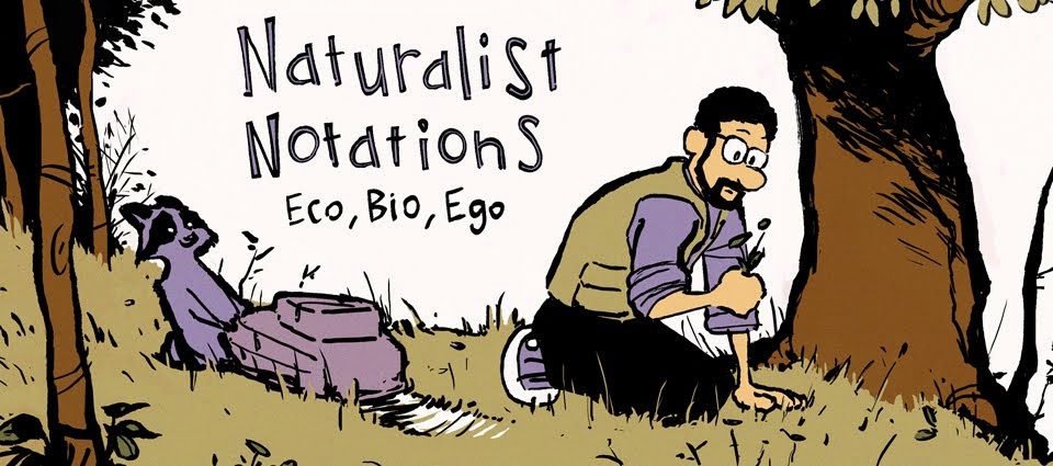 Naturalist Notations