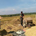 Panen Padi di Bulak Sumur Giripurwo Girimulyo