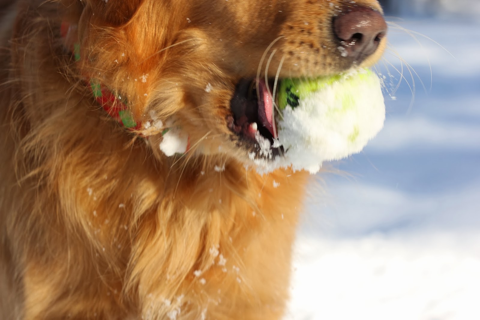 Finishing Lines by K. Sperino: Imitating nature