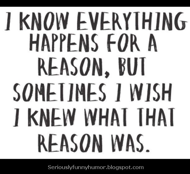 Everything happens for a reason, but... | Seriously Funny Humor