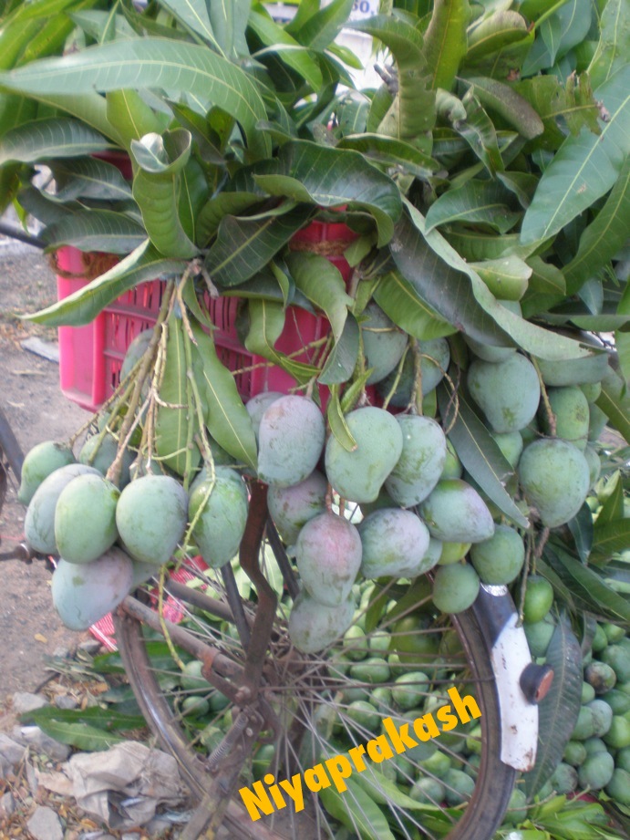 Niya's World Fresh raw mangoes & vegetables in Chennai