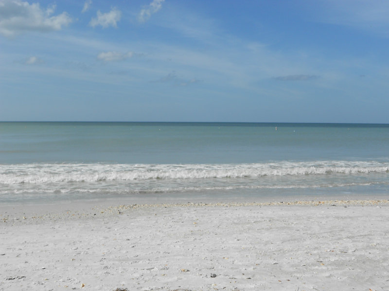 Del&rsquo;s Shells: Let&rsquo;s Hit the Beach!