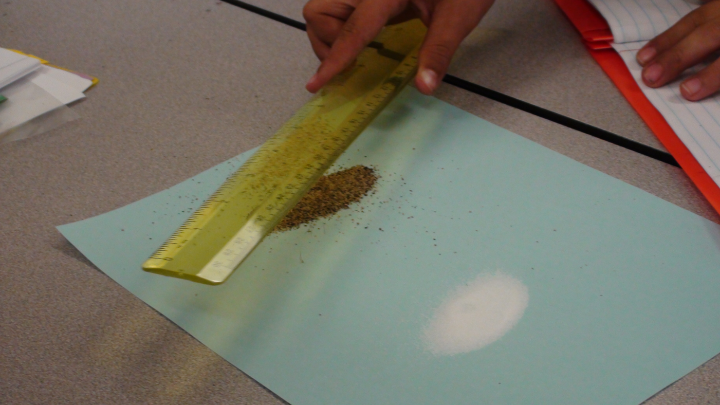 Mrs. Wilson's Class Static Electricity