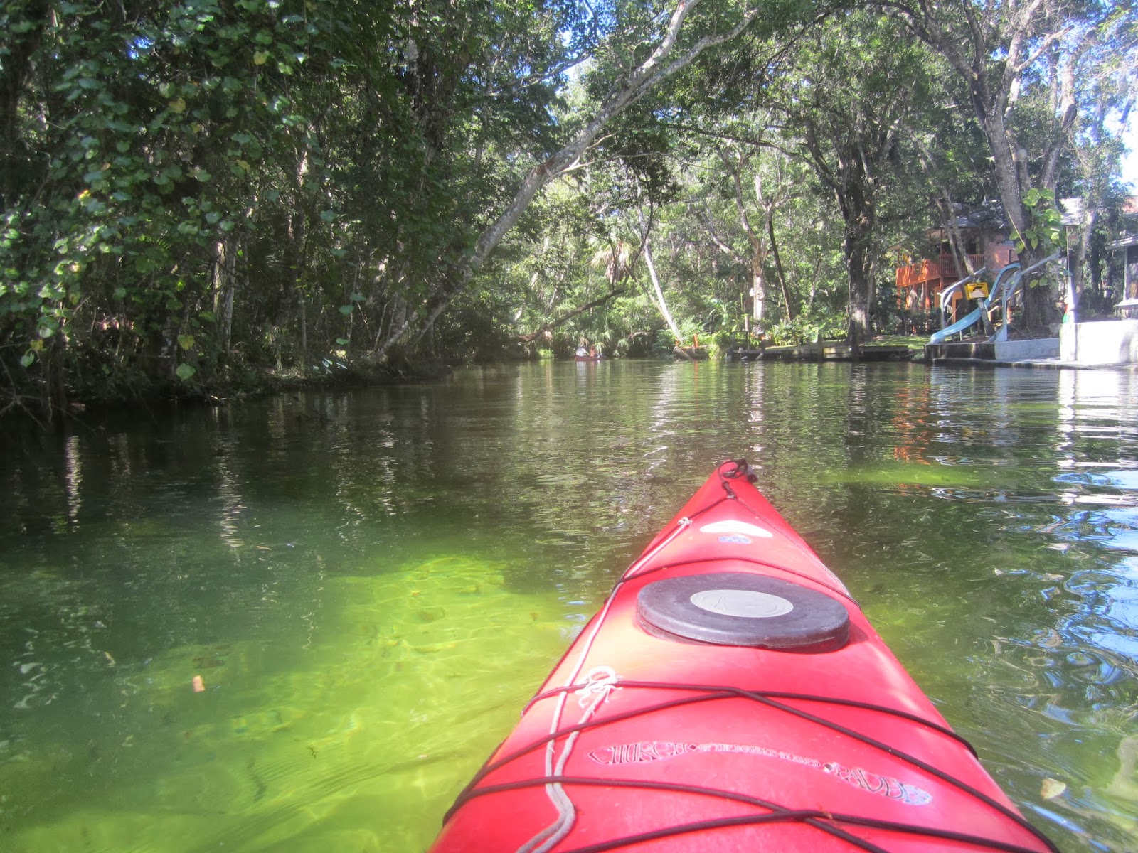 Dave's Yak Tales Weeki Wachee, Mud River, and Salt Spring