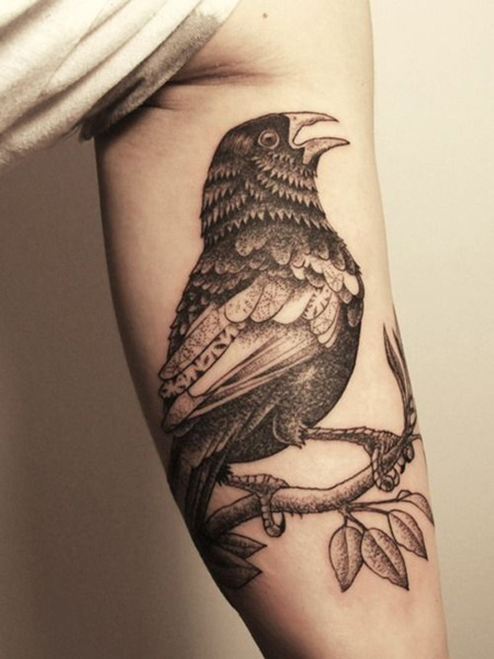 Tatuagens femininas nos bíceps Tatuagens femininas nos bíceps