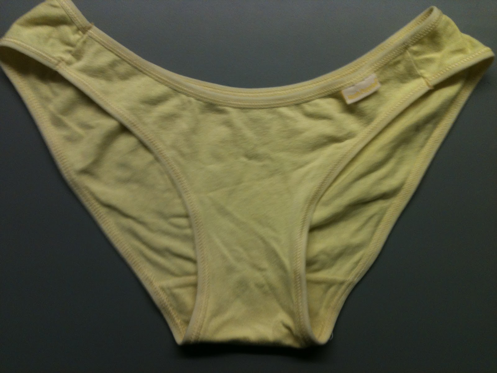 Used Panty September 2013