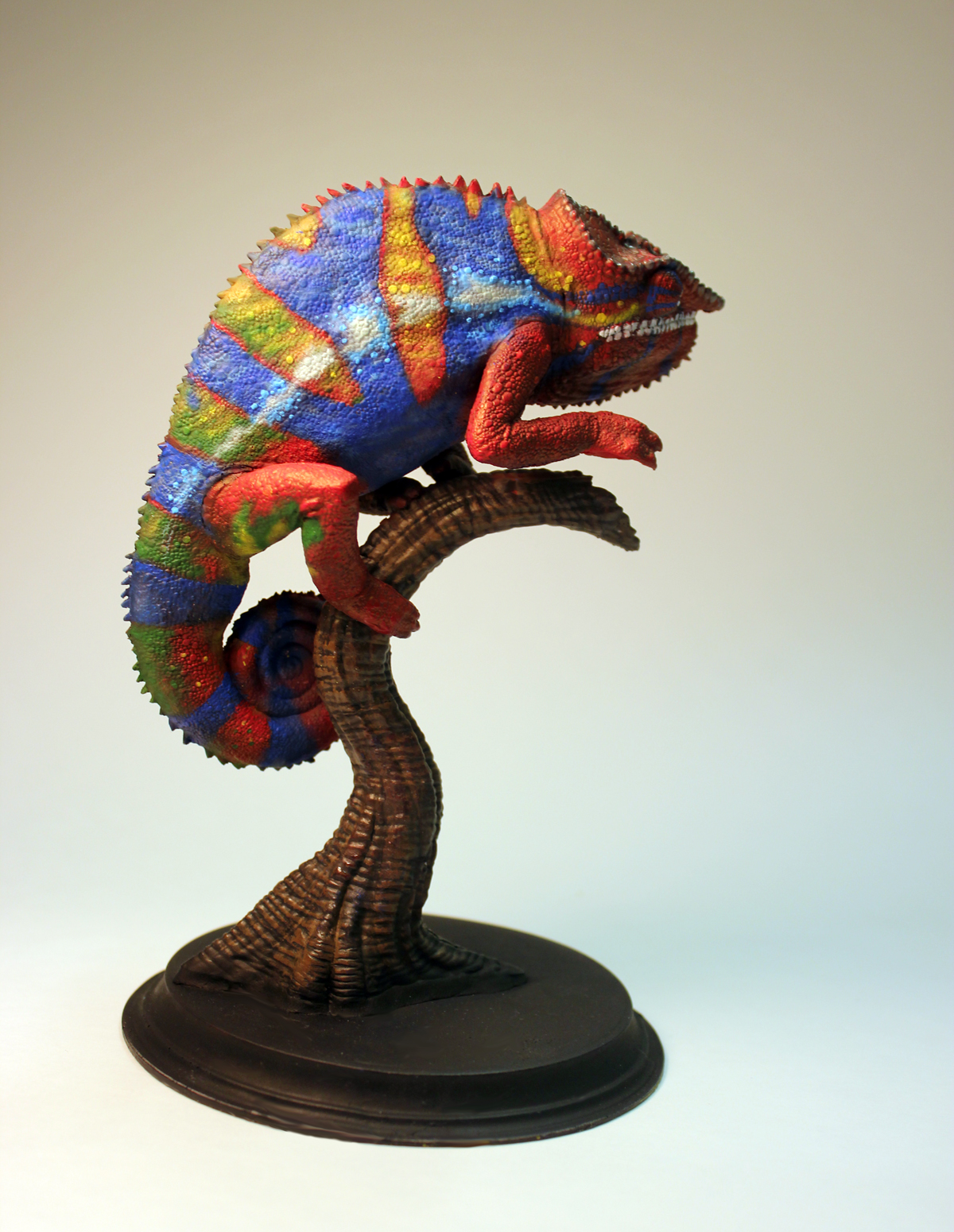 chamColor3SML.jpg