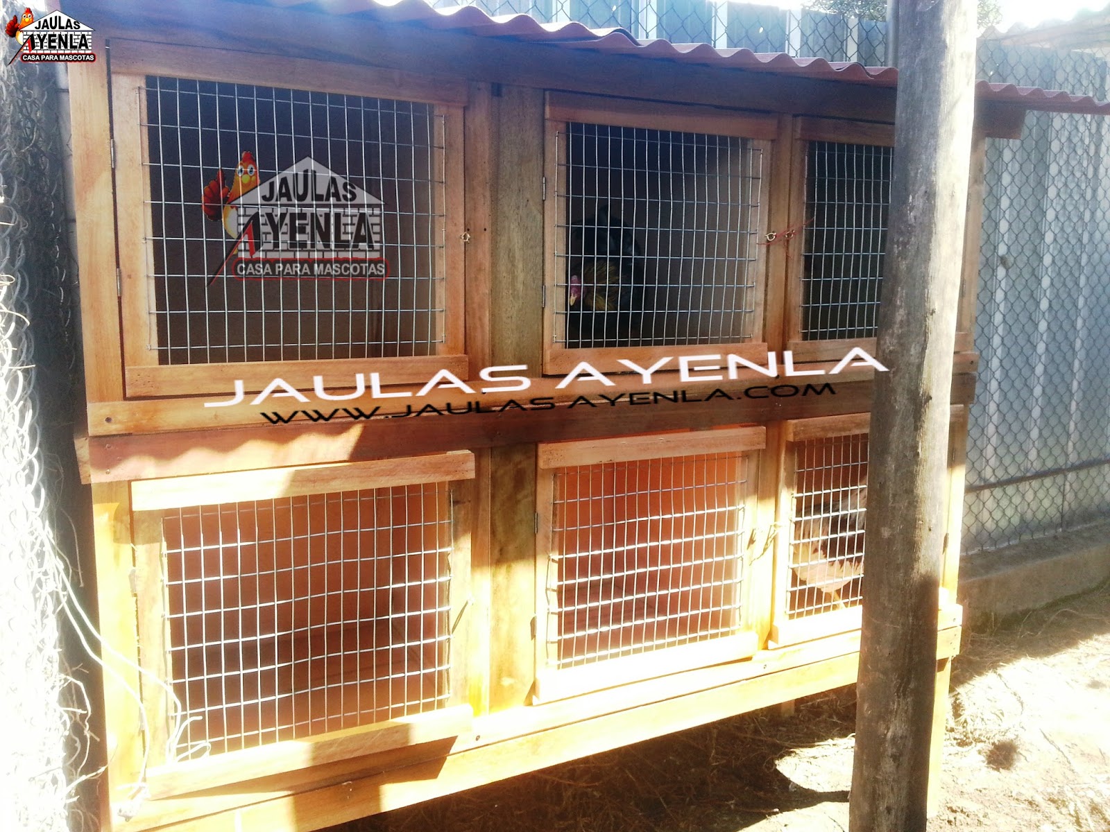Jaulas Para Gallos De Pelea