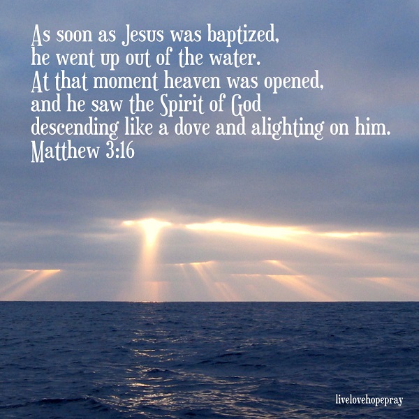Live Love Hope Pray Matthew 3 16 live-love-hope-pray-matthew-3-16