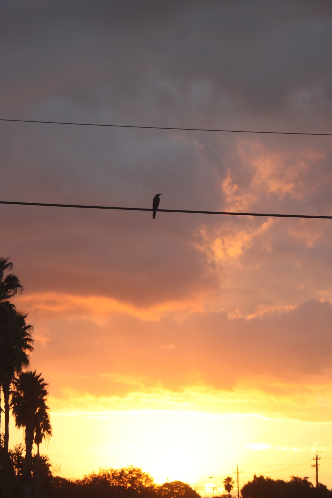 This Private Moment Will Make You Forget Everything Else