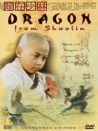 Rồng Thiếu Lâm - Dragon From Shaolin Rồng Thiếu Lâm