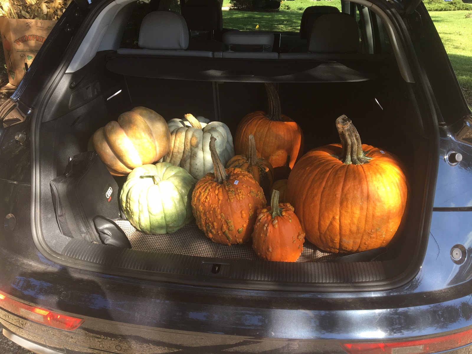 The Uptown Acorn Fall Breakin' {Hazel's Market Daphne, AL}