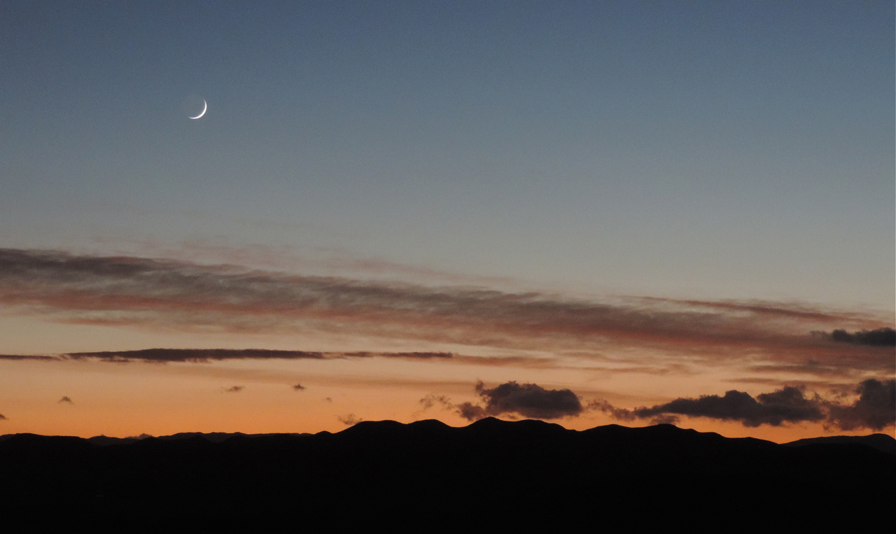 Download Gecko With Canon Moon Rise For iPhone Get Wallpaper Gecko With Canon Moon Rise For Android