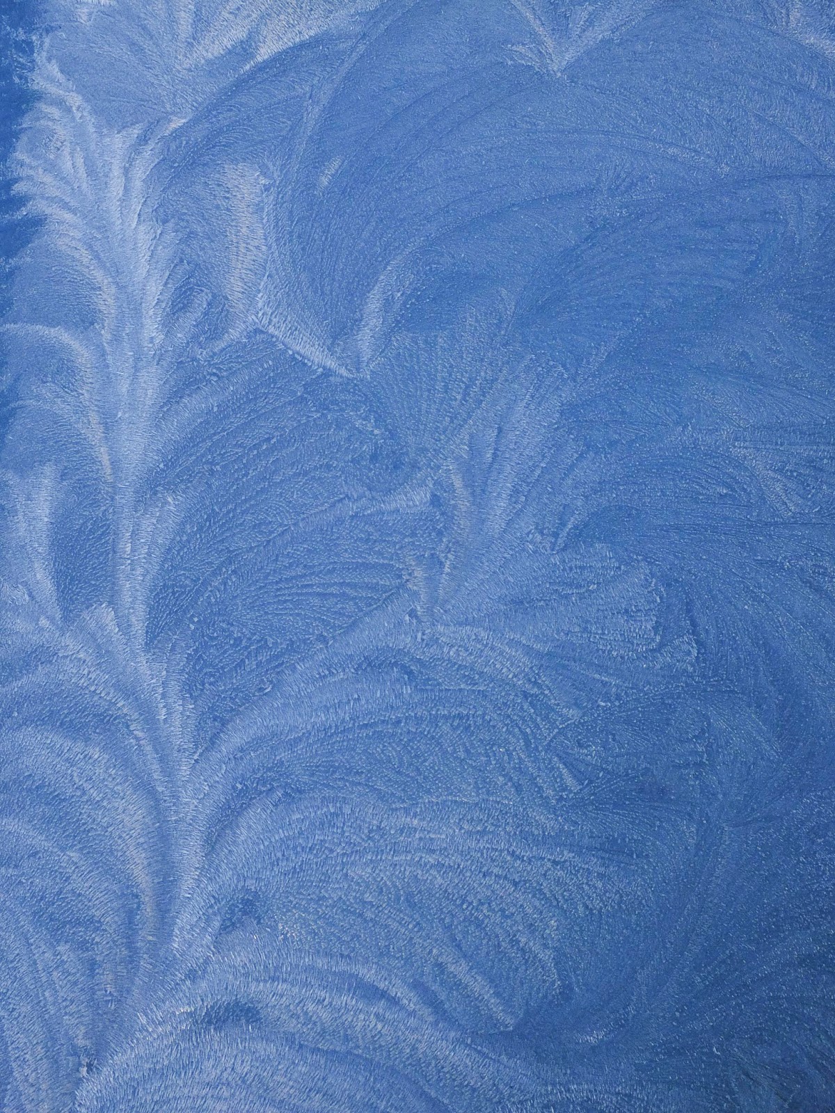 A pattern of frost on glass.