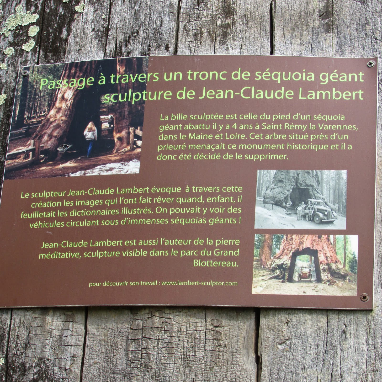 La Bull'à'Moa Parc du GrandBlottereau à