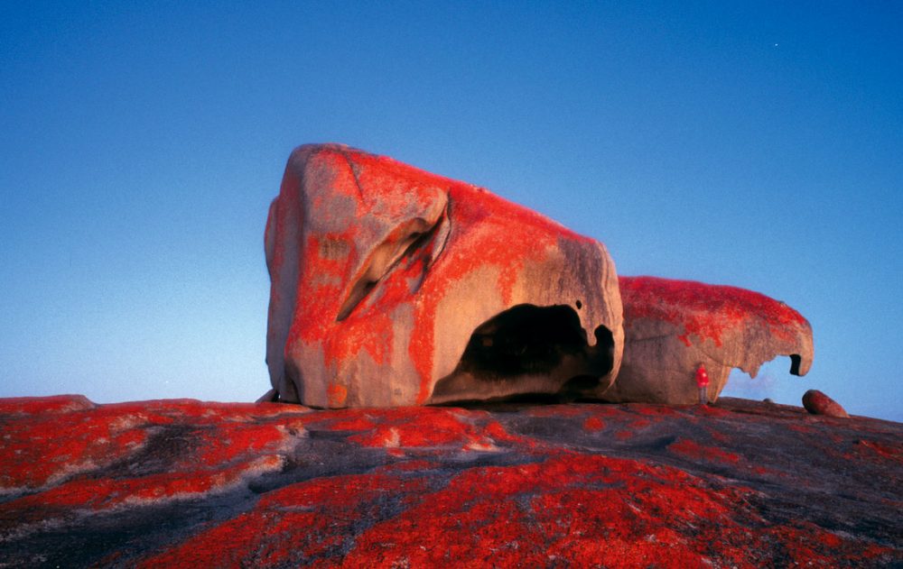 i glicini di cetta: 05/01/19