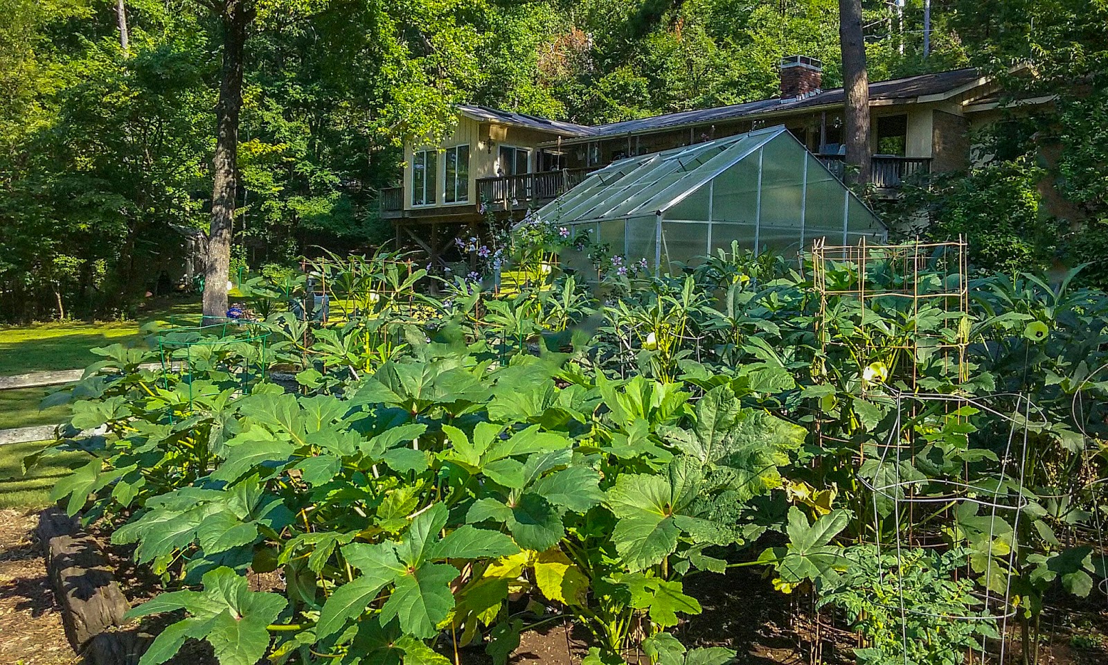 Ask A Master Gardener Common Vegetable Garden Problems