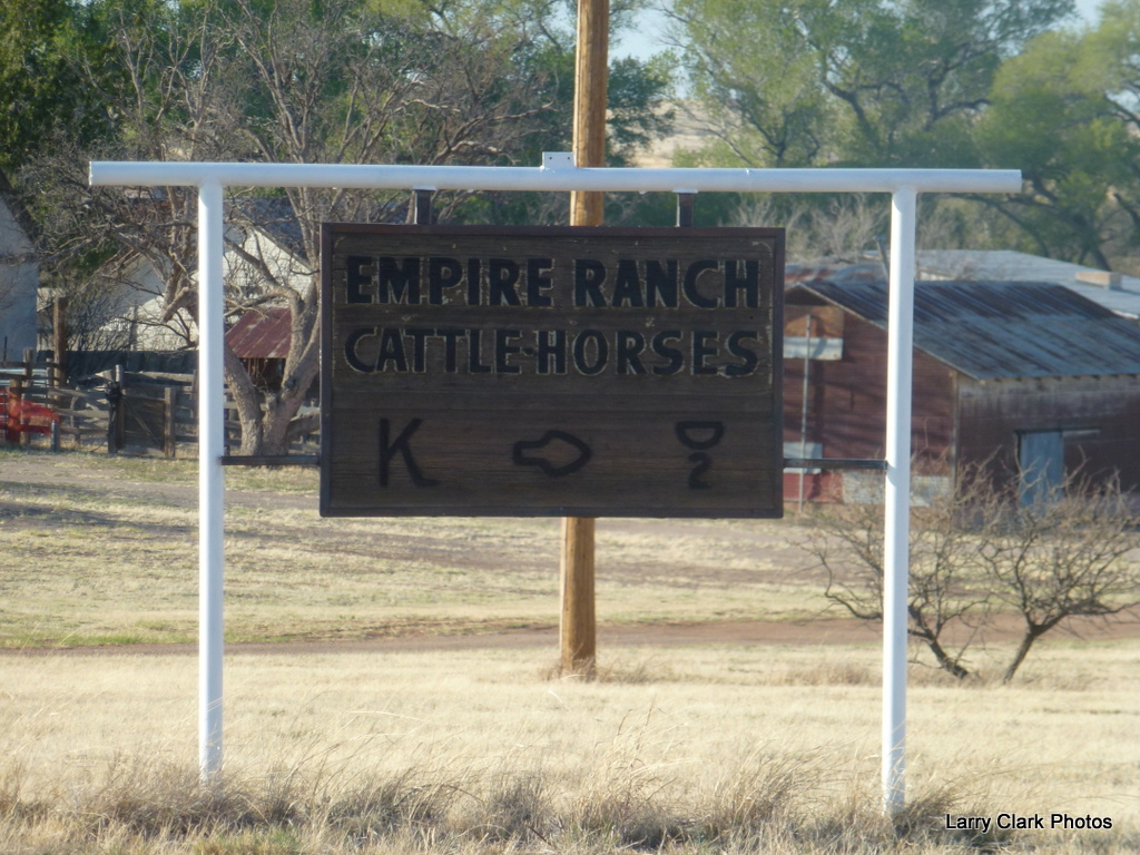 Road Runner: Empire Ranch, Sonoita, AZ