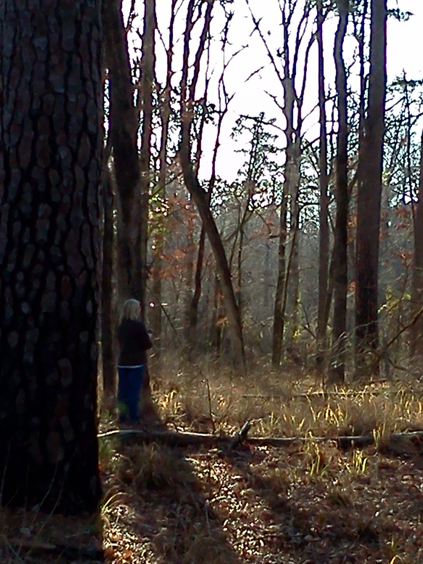 Lennox Woods About the Artist