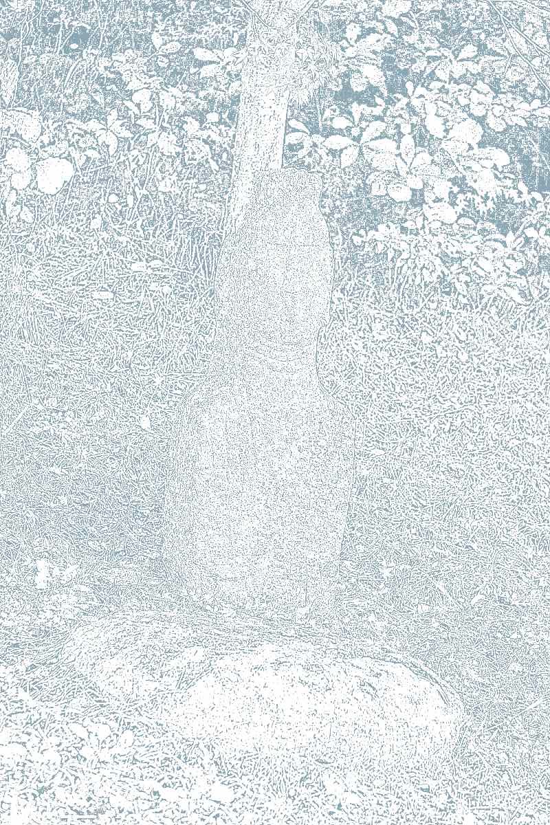 화순 영구산 운주사 화순 영구산 운주사