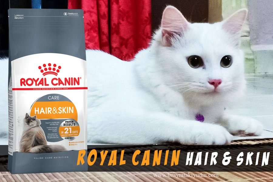 royal canin, royal canin hair & skin, makanan kucing premium terbaik,