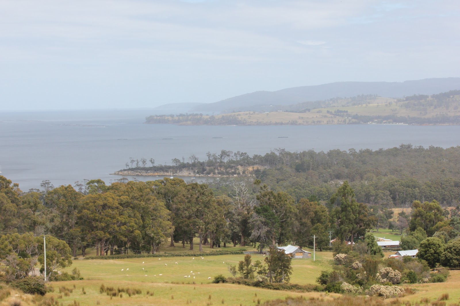 Travelling Around Australia Tasmania cont.