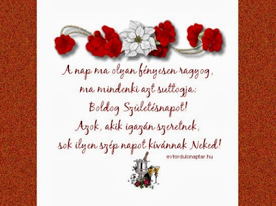 Születésnapi köszöntő-17