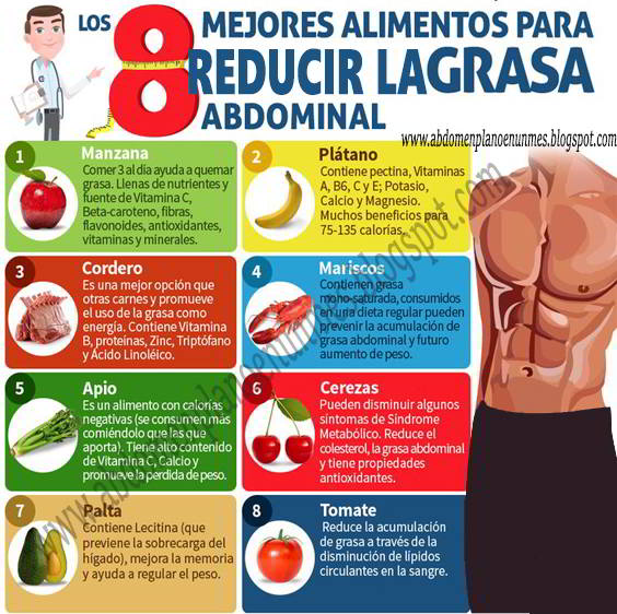 alimentos que ayudan a reducir la grasa alimentos que ayudan a reducir la grasa