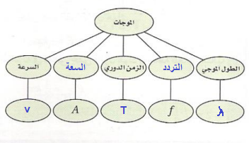 طولية لإيجاد كل بنقطة عدّ موجة ثانية تردد يلزم عدد التي تمر ............................ عدد الموجات