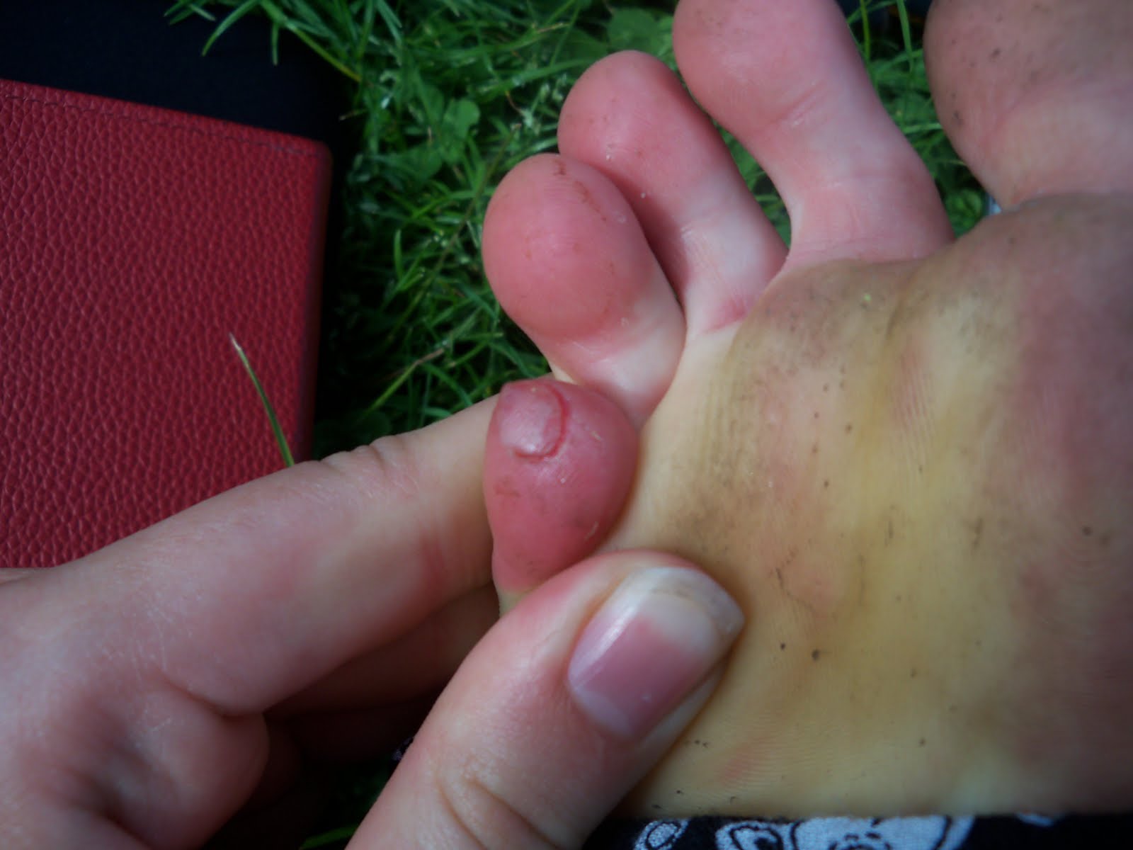 The Neandering Tempest: Mosques, Museums, and Mangled Toes
