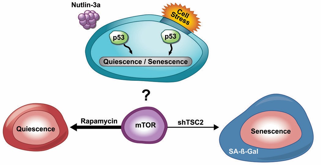 Nowheretostay November 2013