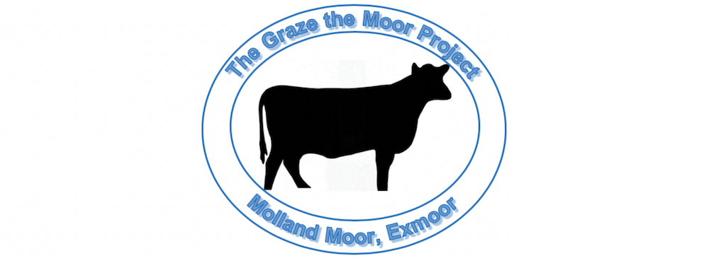 Graze the Moor