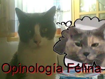 Opinología felina.