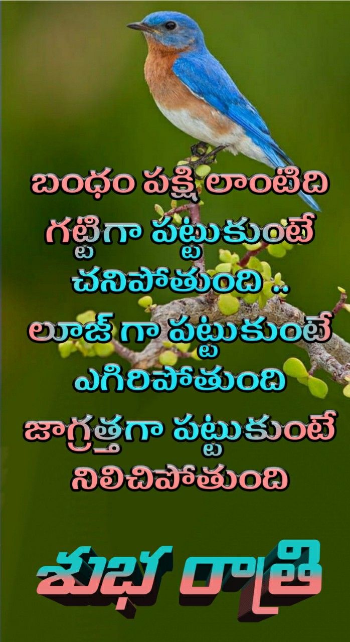 good night cute images