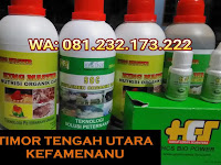Jual SOC HCS, KINGMASTER, BIOPOWER Siap Kirim Timor Tengah Utara Kefamenanu Jual SOC HCS, KINGMASTER, BIOPOWER Siap Kirim Timor Tengah Utara Kefamenanu