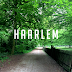 Cycling in Haarlem, Netherlands