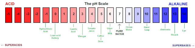 PH Full form 2020 | What is the Full Form of PH? - FullformOcean PH Full form 2020 | What is the Full Form of PH? - FullformOcean