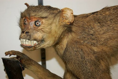 bad-taxidermy-monkey.jpg